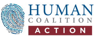 Human Coalition Action